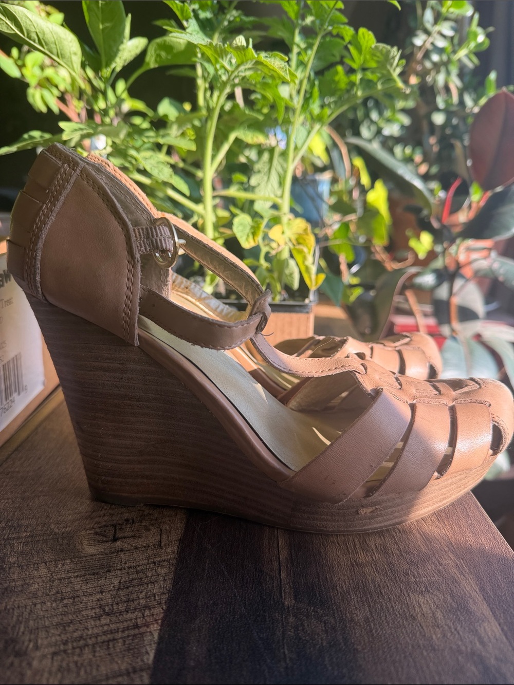 Women’s Tan Wedge Sandals - Ankle Strap